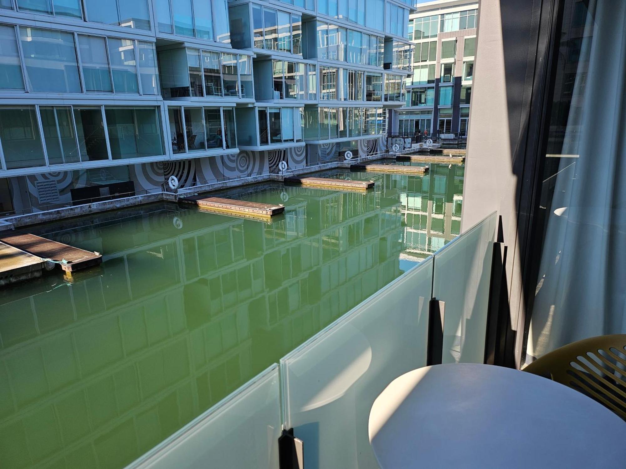 אוקלנד Pavilions Marina Apartment 102 - Wynyard Quarter Viaduct Harbour מראה חיצוני תמונה